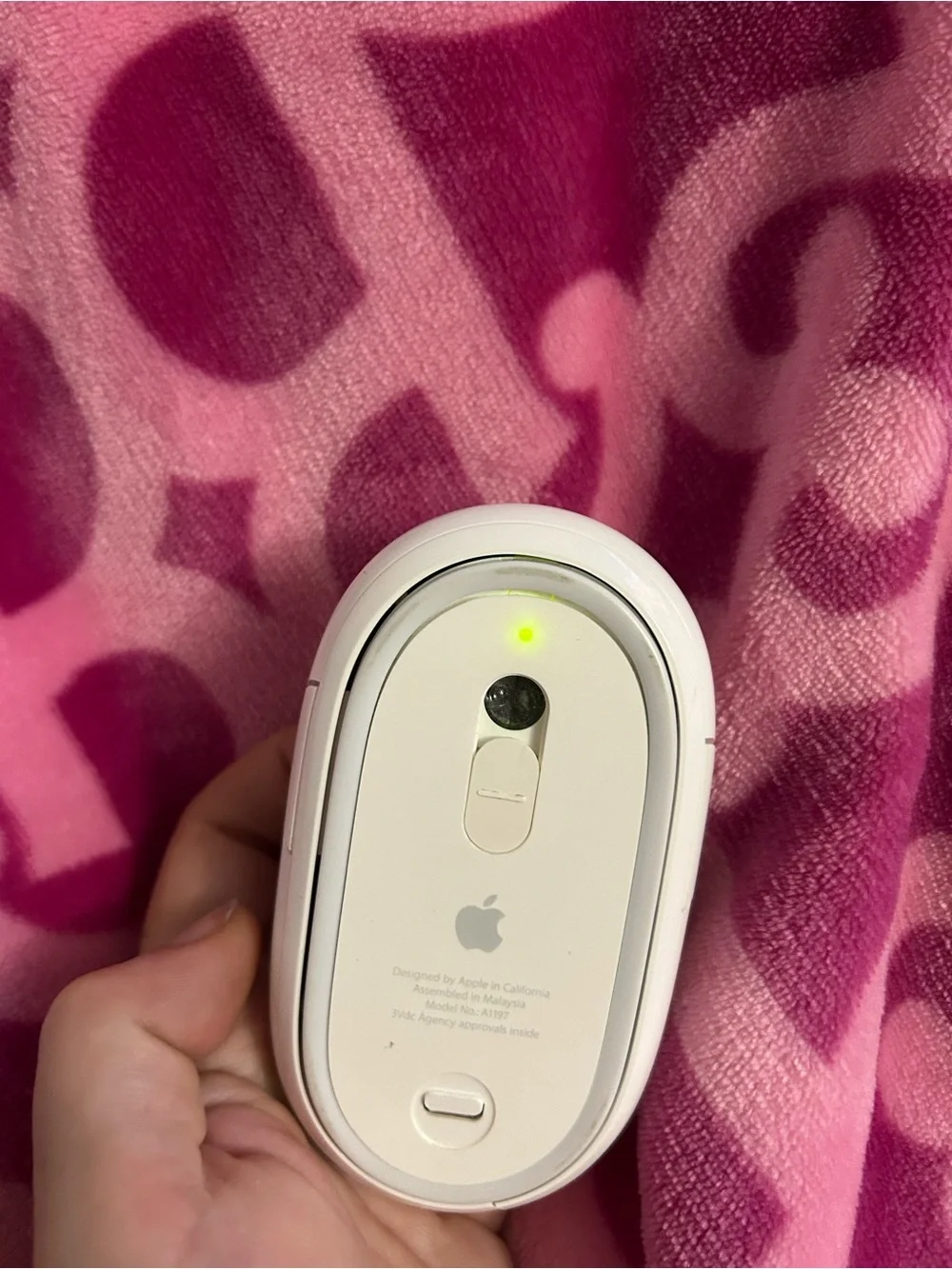 Apple White Magic Mouse (Bottom View)